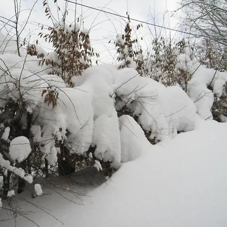 Garden View In Sauerland With Terrace 公寓