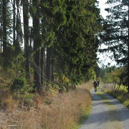 Apartamento In Madfeld