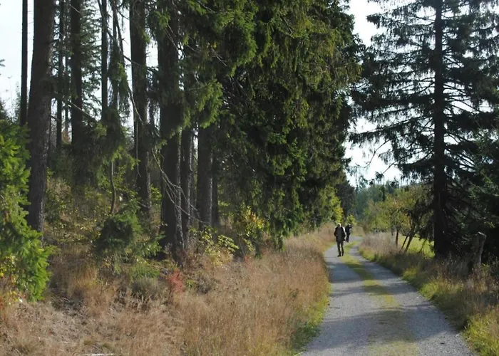 Apartamento In Madfeld